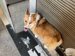 -动物缘宠物医院·骨科·猫科(西二环店)