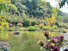 -梧桐山风景名胜区