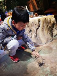 -酷嗒动物文化乐园(cutezoo西溪乐天城店)