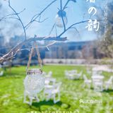 京城下午茶|超好拍照的咖啡厅/下午茶（一）