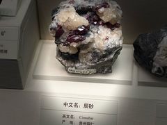 -天津自然博物馆