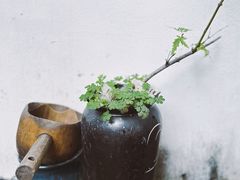 -三溪村