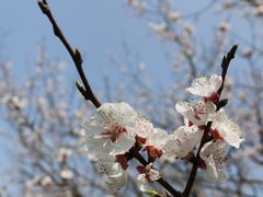 -贵阳市花溪国家城市湿地公园