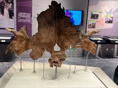 -北京周口店北京人遗址博物馆