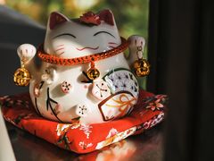 -喜柿咖啡SeeS coffee