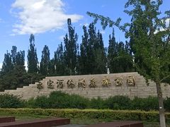 -永定河休闲森林公园