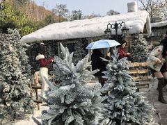 -HERRE·FARM 赫尔露营农场·团建聚会包场