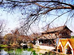 -西溪国家湿地公园