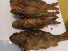 -小北江河鲜(新城店)