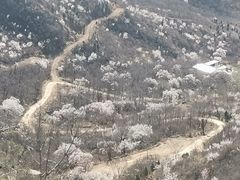 -封龙山风景区