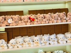 -深圳湾万象城(南山店)