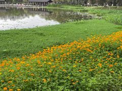 -映月湖公园