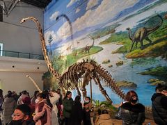 -自贡恐龙博物馆