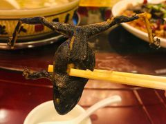-宏顺佰渔庄(松花湖店)