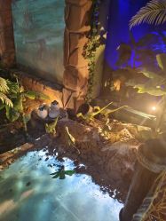 -恐龙探索乐园(磁器口店)