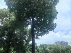 -东岳体育公园