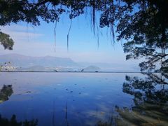 -大埔公路-马料水段香港中文大学(公交站)