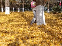 -辽东学院(南校区)