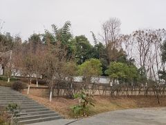 -塔子山公园