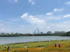 -海珠湖公园