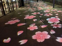 -Wagas沃歌斯(富力广场店)