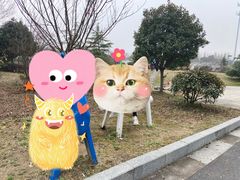 -盐官日光域房车营地·有盐餐厅