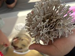 -小猫钓鱼海钓俱乐部(椰梦长廊店)