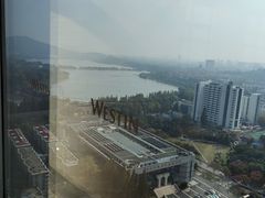 -湖景知味西餐厅•自助餐• 轻食(南京金茂威斯汀大酒店)