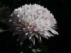 -汇龙潭