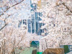 -龙美术馆(西岸馆)