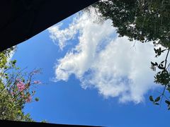 -广州市白云山风景名胜区