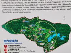 景点-成都大熊猫繁育研究基地
