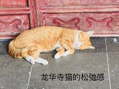 -龙华素斋(龙华路店)