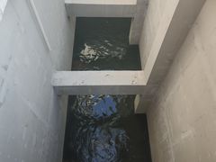 -红叶蛋糕(广达路总店)