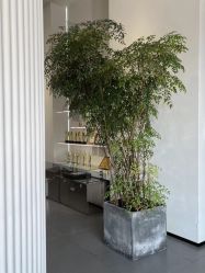 -爱城婚纱摄影·品质严选店