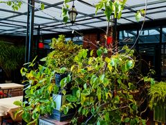 -新竹里馆·花园餐厅(兴苑路店)