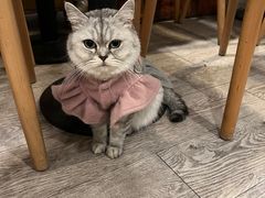 -小时光咖啡馆(北锣鼓巷店)