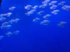 -沈阳海洋探索中心