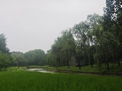 -北坞公园