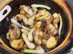 -红星光发煲仔饭(文海店)