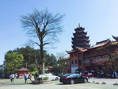 -铁山坪森林公园