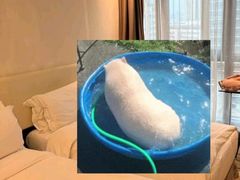 -香港铜锣湾皇悦酒店