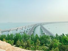-星海湾跨海大桥