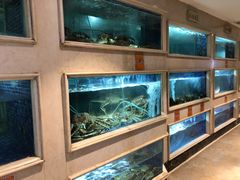 水产区-顺峰(农展馆店)