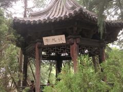 -茅盾纪念堂