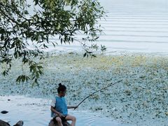 -西昌邛海湿地