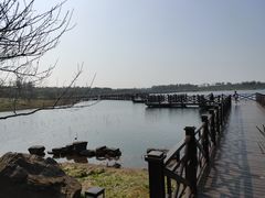 -上海海湾国家森林公园