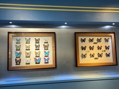 -上海昆虫博物馆