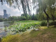 -后襄河公园