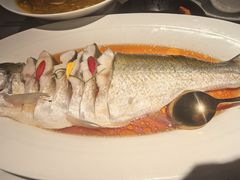 清蒸白水鱼-醉庐·新上海菜(南京西路店)